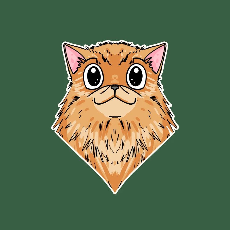 Chat persan Race de chat Chat