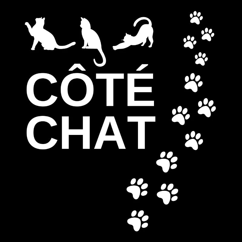 chat, amoureux des chat, côté chat