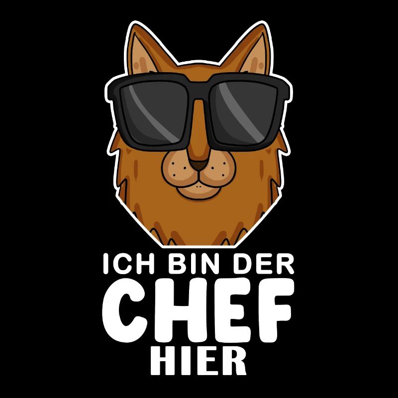 coole Katze - Somali Katze Spruch
