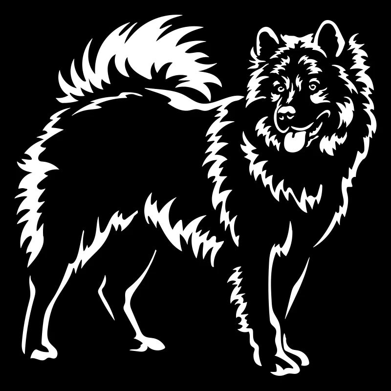 Eurasier « Black Edition »