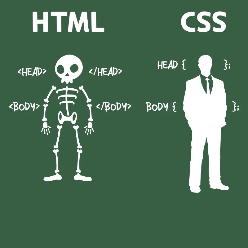 Code Css C++ Php Java Developer Code Skripting