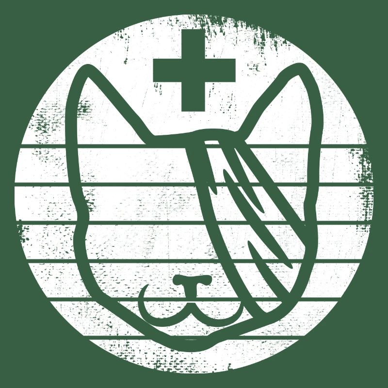 First aid for cats