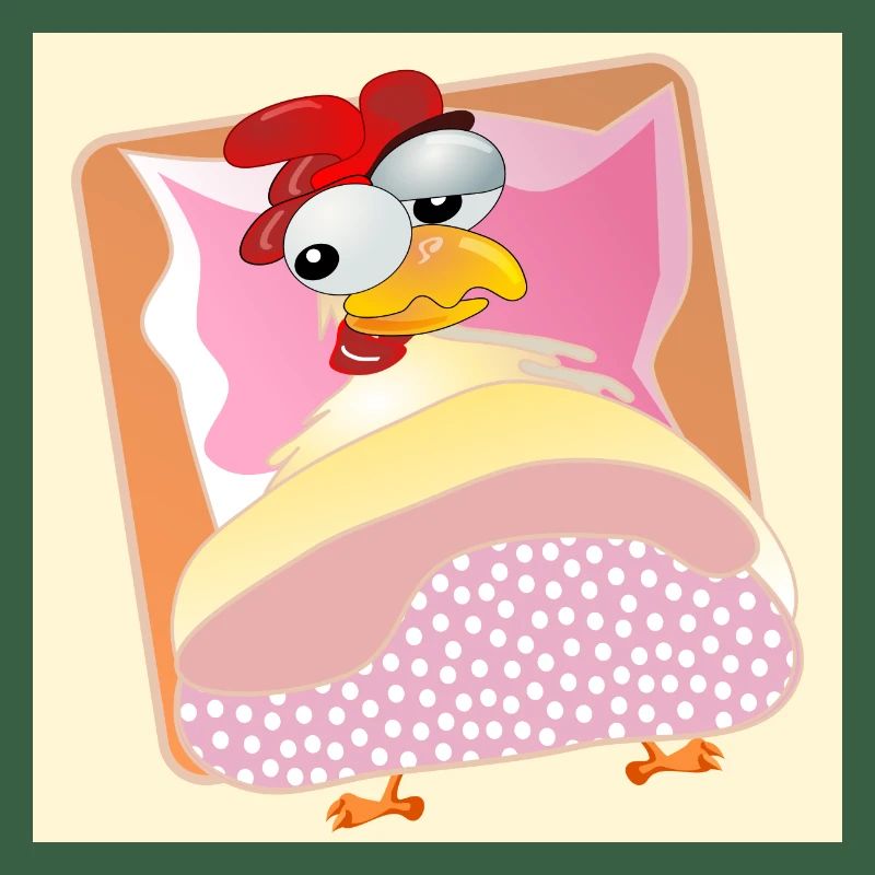 Chickens Chicken Keeping - BED SLEEPING