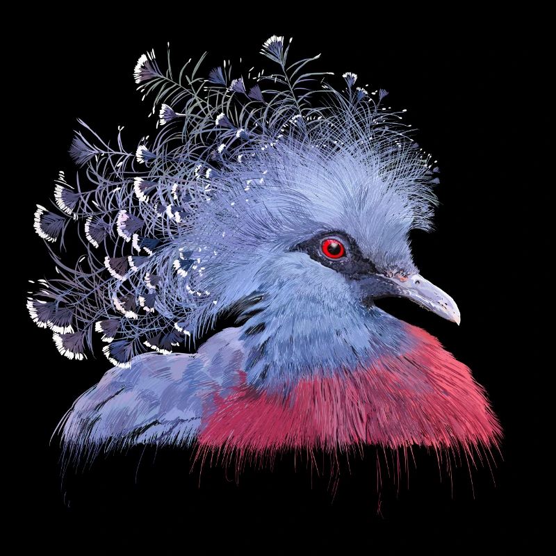 Pigeon couronné