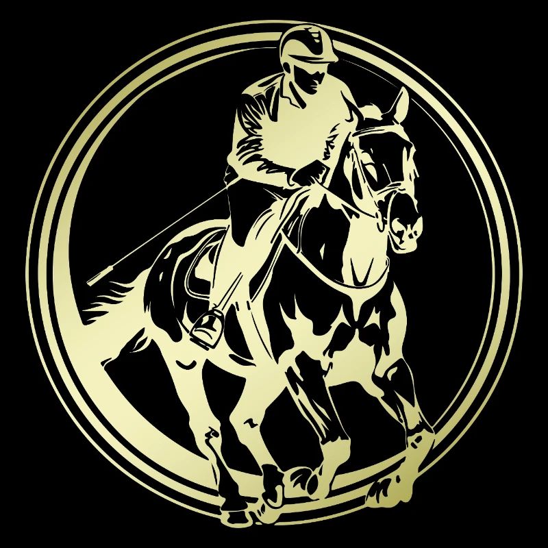 Reiten Pferd Silhouette