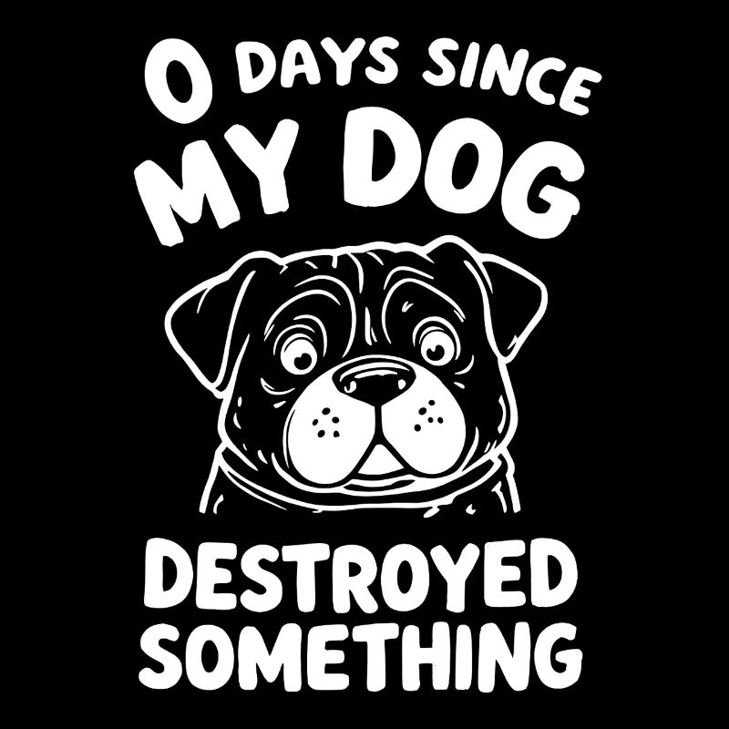 0 Days Since My Dog Destroyed Something Fun
