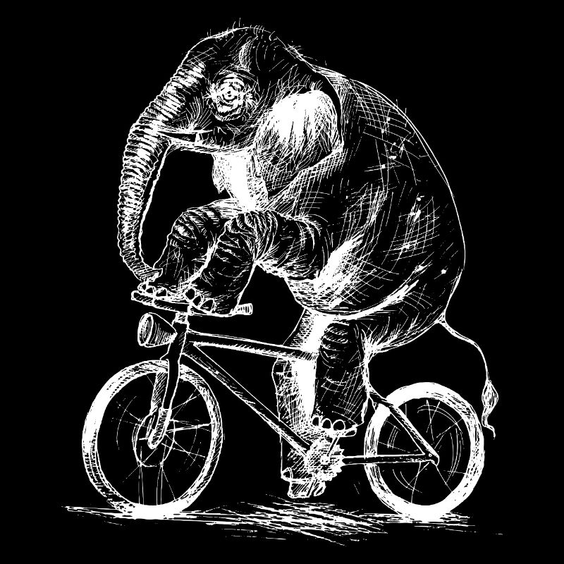 Éléphant à vélo
