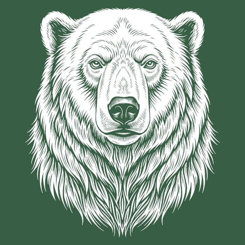 Dessin de lignes d’ours