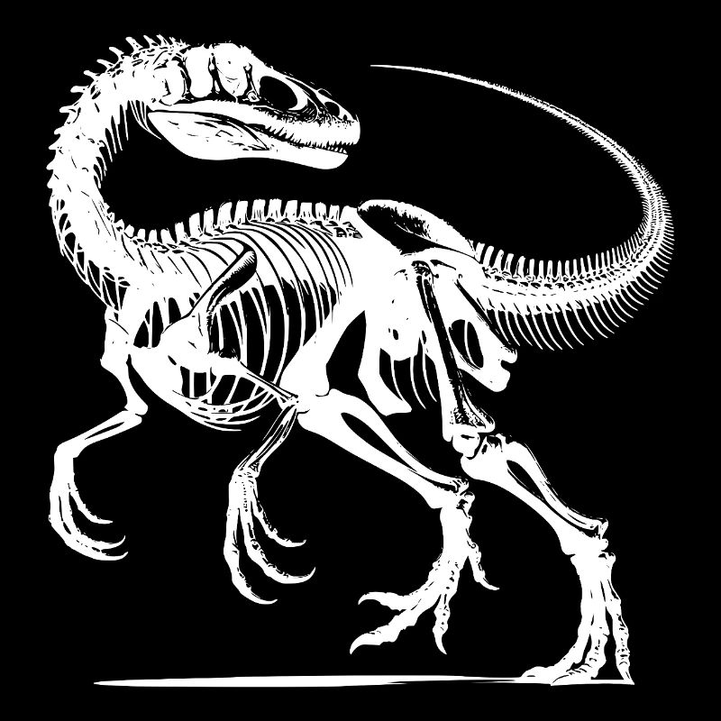 Raptor Dinosaurier Knochenarbeit aus der Urzeit