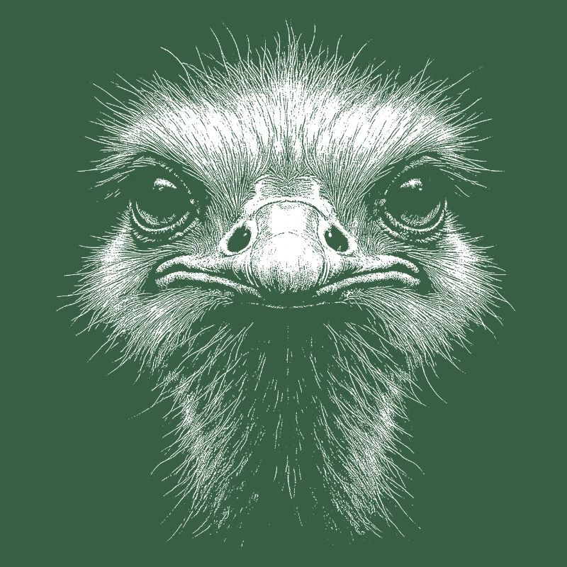 Ostrich Head