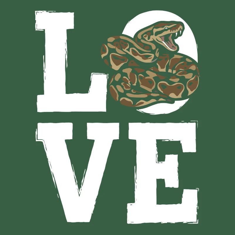 Königspython Schlangen LOVE Terrarium Python