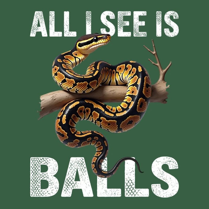 King Python Snakes Lover Terrarium Python