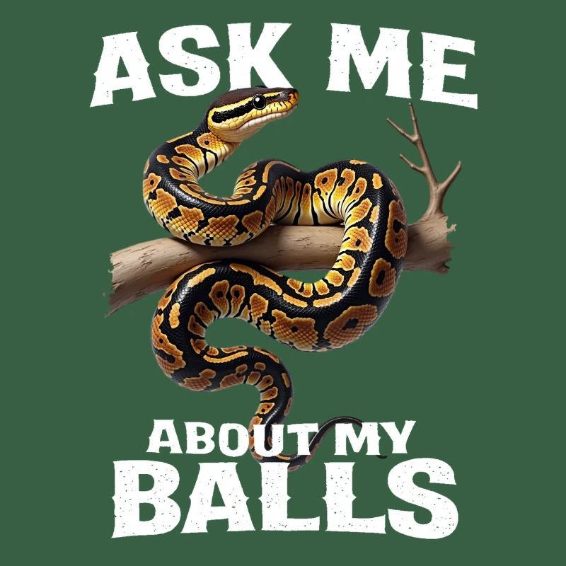 Python roi Serpents Amateurs de terrarium Python