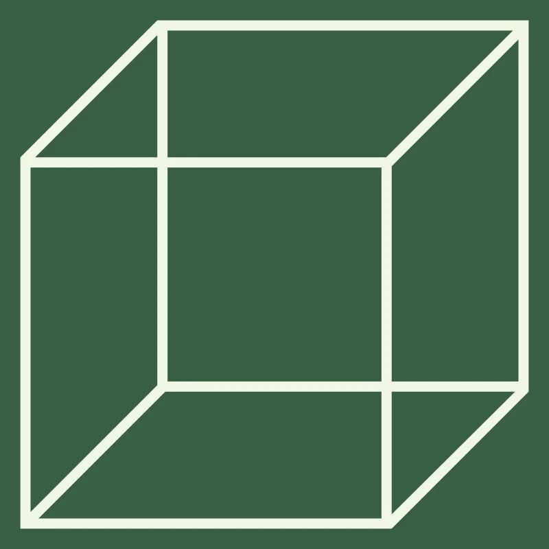 Geometric Wire Cube