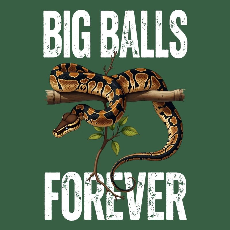 Python roi Serpents Amateurs de terrarium Python