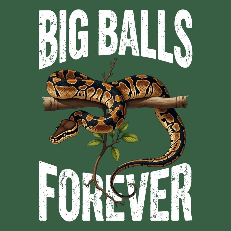 King Python Snakes Lover Terrarium Python