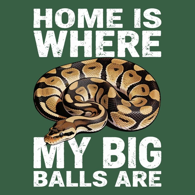 Königspython Schlangen Liebhaber Terrarium Python