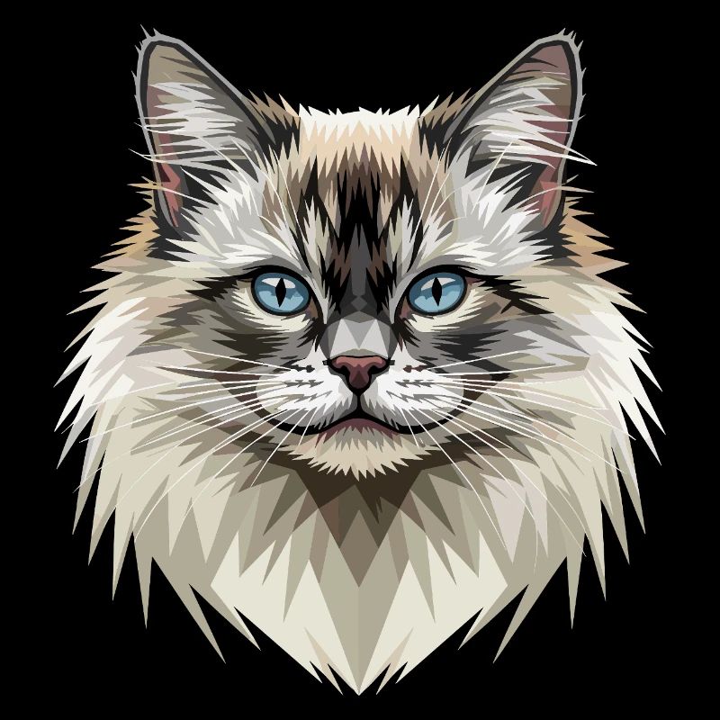 Birman Cat Sacred Birman Cat Cute Birman Cats