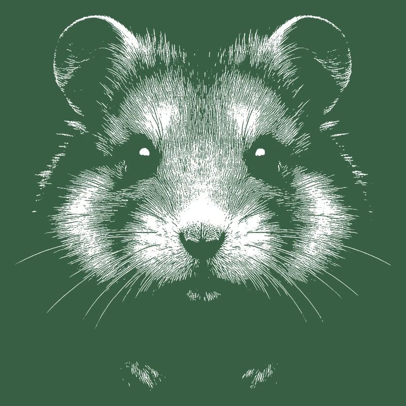 Hamster commun