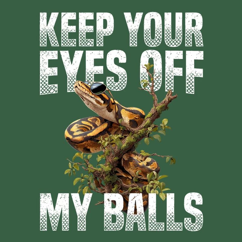 Königspython Schlangen Liebhaber Terrarium Python