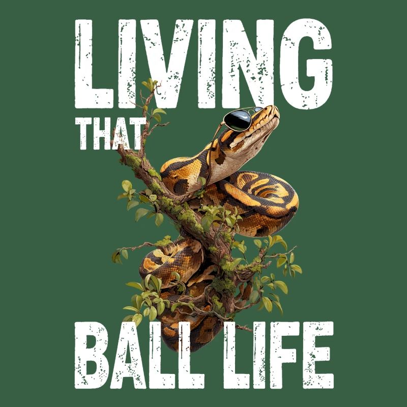 Python roi Serpents Amateurs de terrarium Python