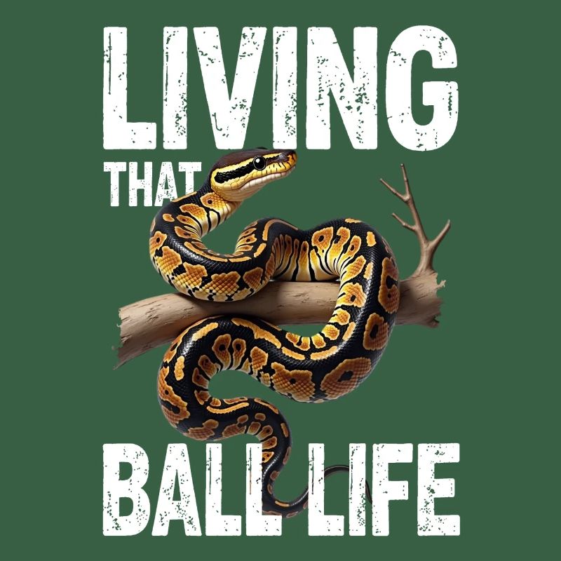 Königspython Schlangen Liebhaber Terrarium Python