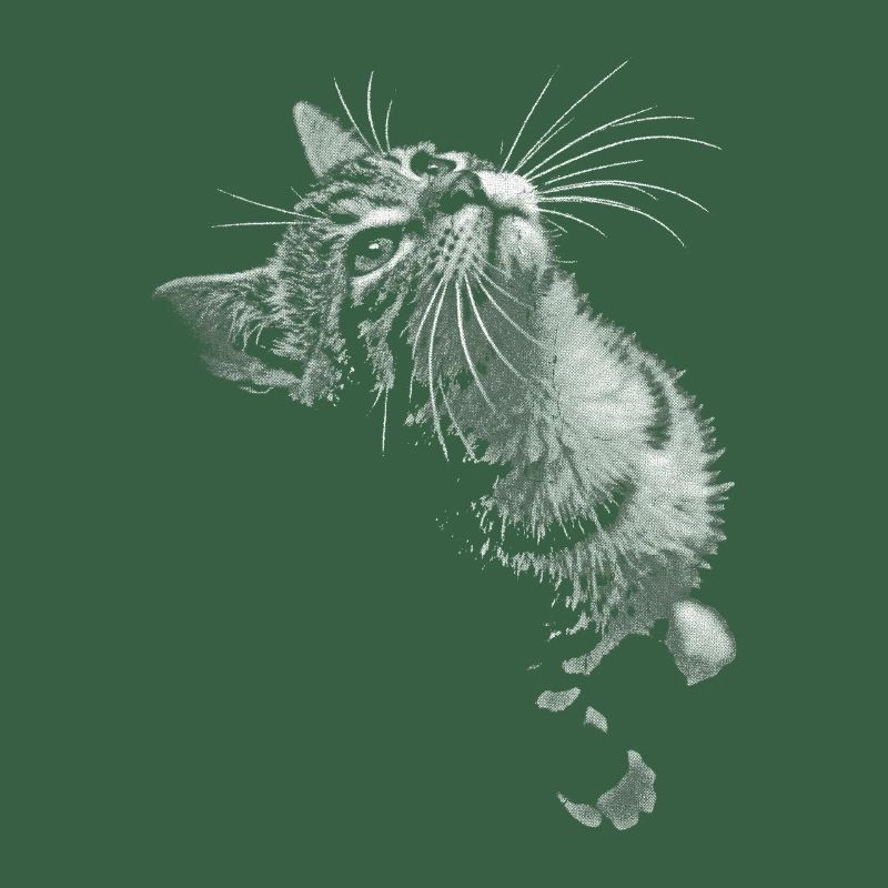 Grayscale Cat Purring Look