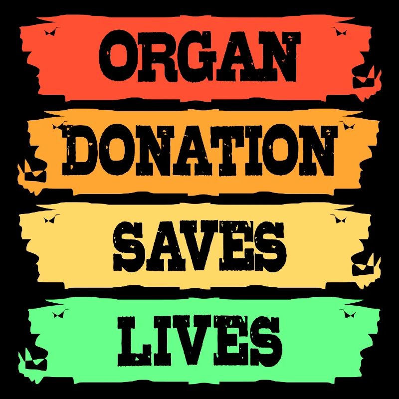 Leber Organspender Leberspende Organ Spender