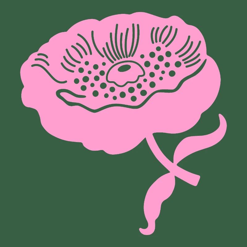 Pfingstrone L botanisch Pfingstrone L rosa