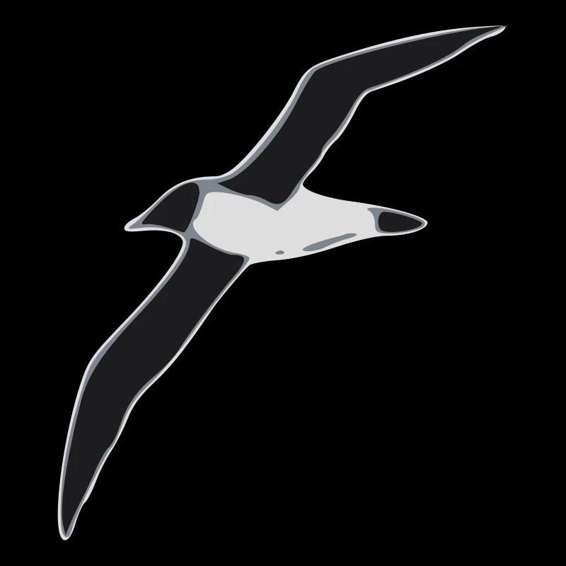 Albatros im Flug Graustufen Design
