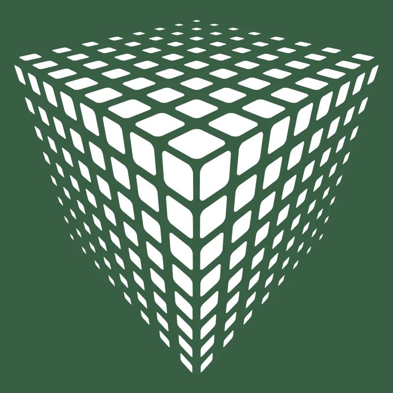 Monochrome Grid Cube Illusion
