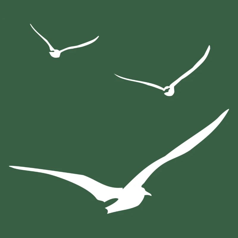 vol de mouettes