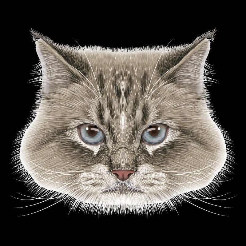 Siberian Cat