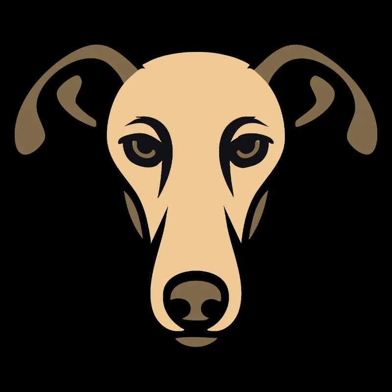 Greyhound, Galgo