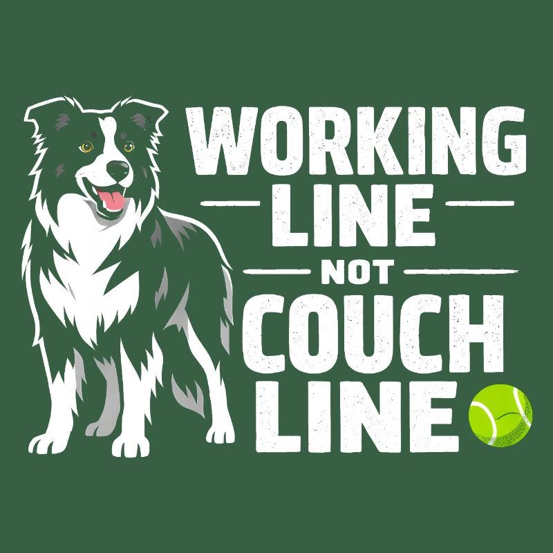 Arbeitslinie statt Sofa | Border Collie