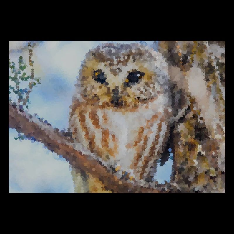 Wald Eulenporträt Aquarell
