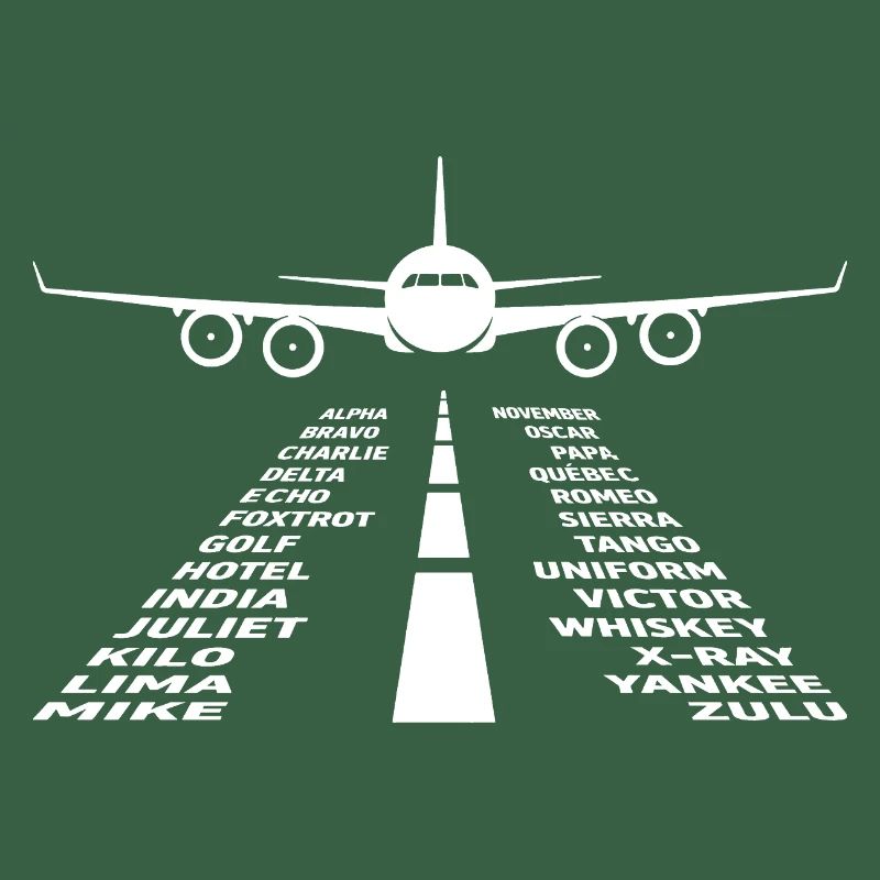 Flugzeug Flug Pilot Flugzeug Fluggesellschaft