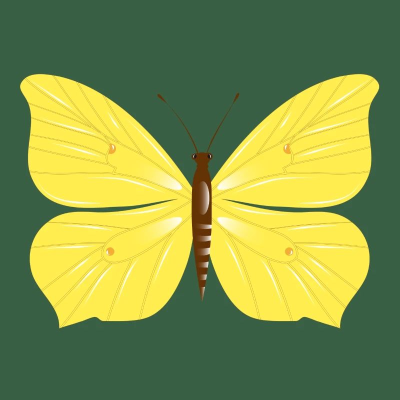 Papillon citron dessiné à la main