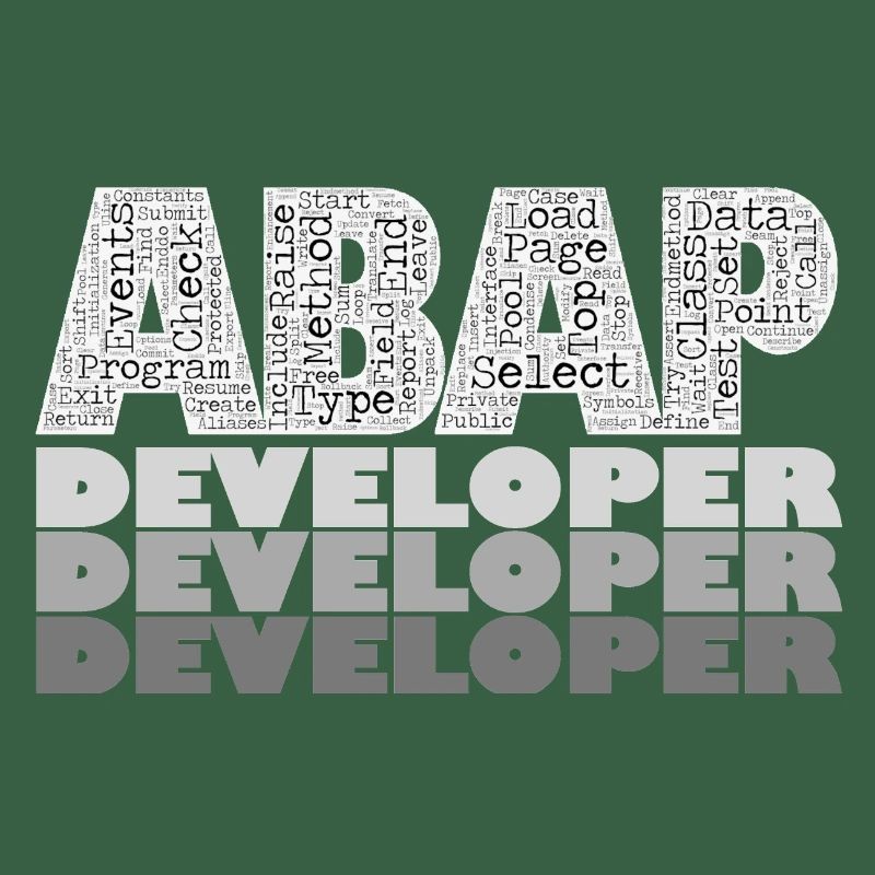 ABAP Developer