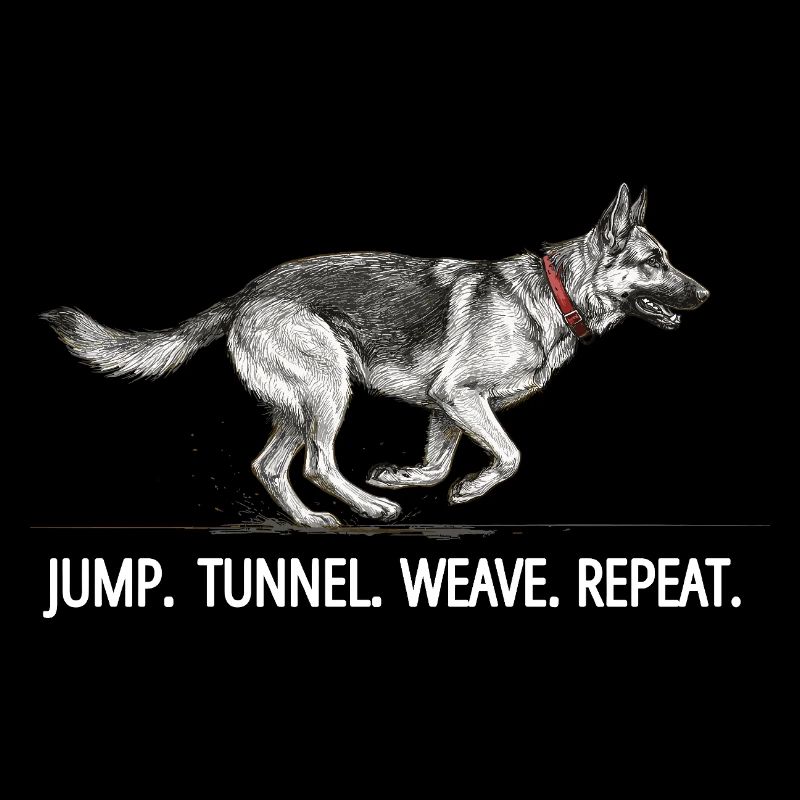 Agility German Shepherd Jump Tunnel Repeat