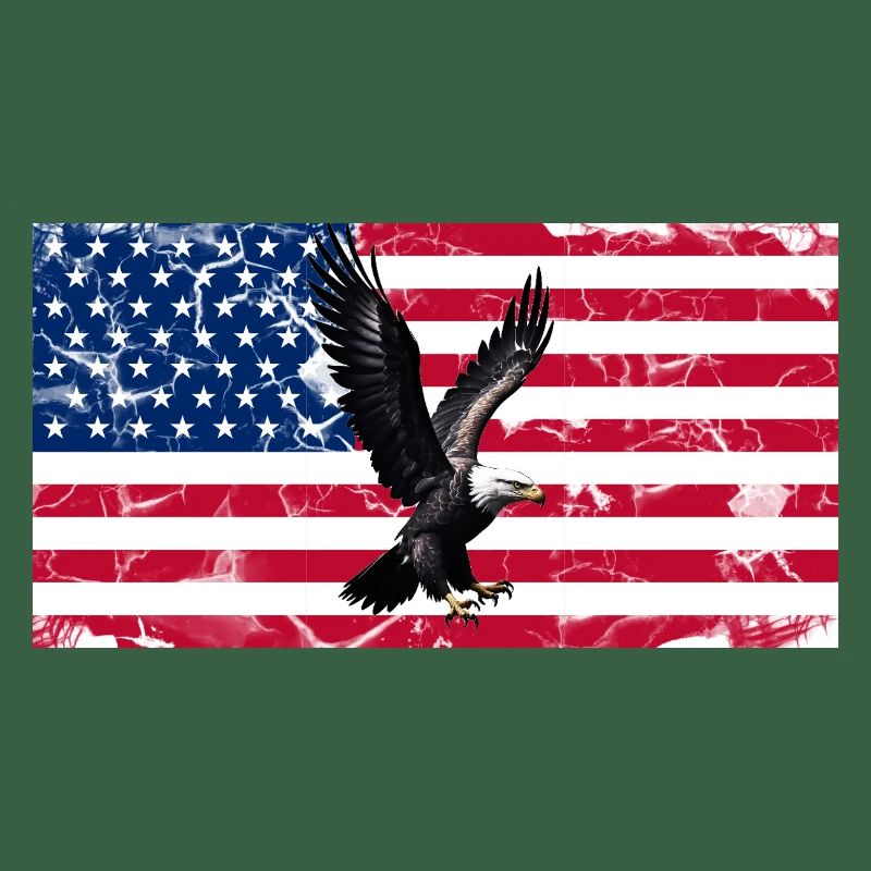 Liberty Eagle over US flag