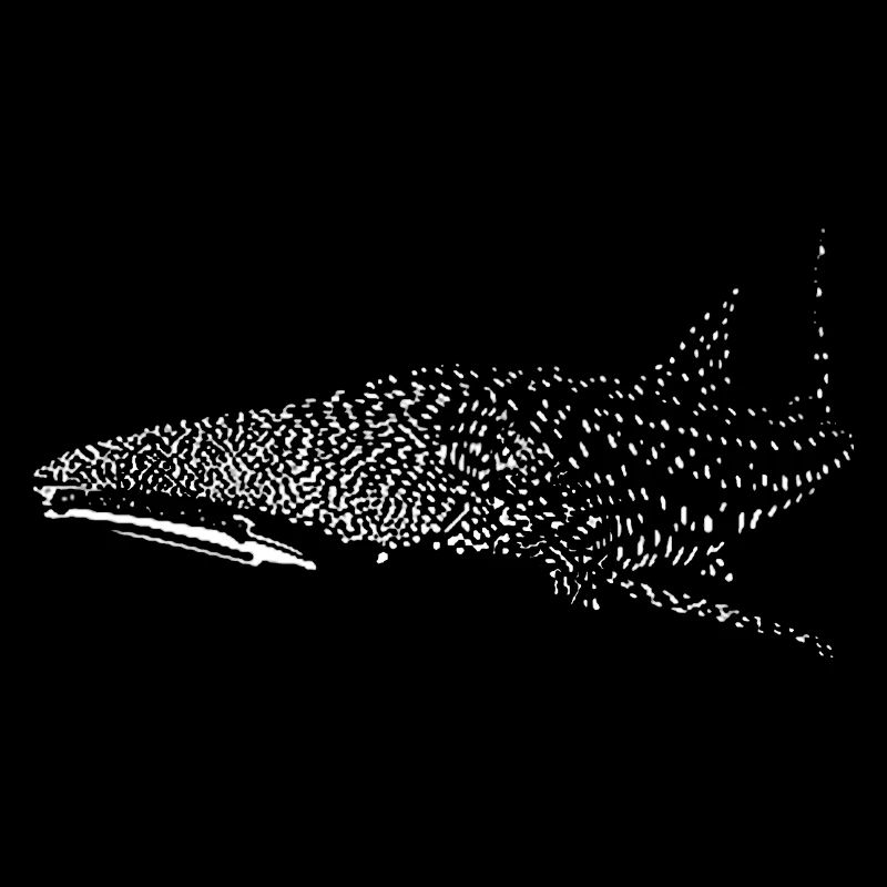Requin-baleine