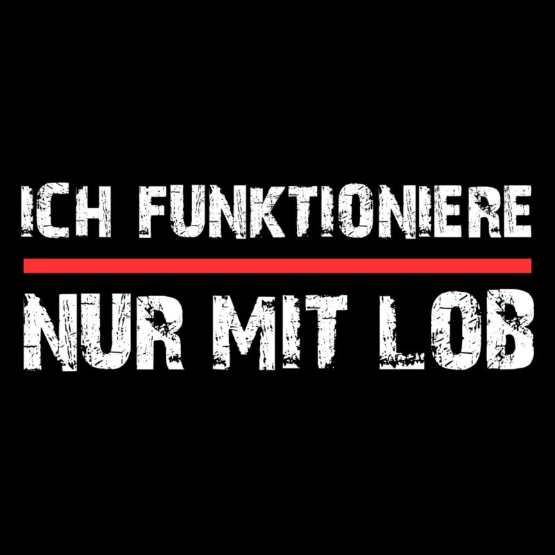 Ich funktioniere nur mit Lob Spruch