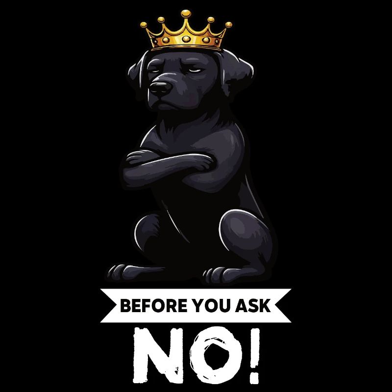 Before You Ask Labrador Labradorbesitzer Labradore