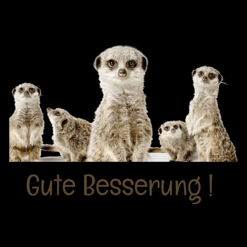 Gute besserung