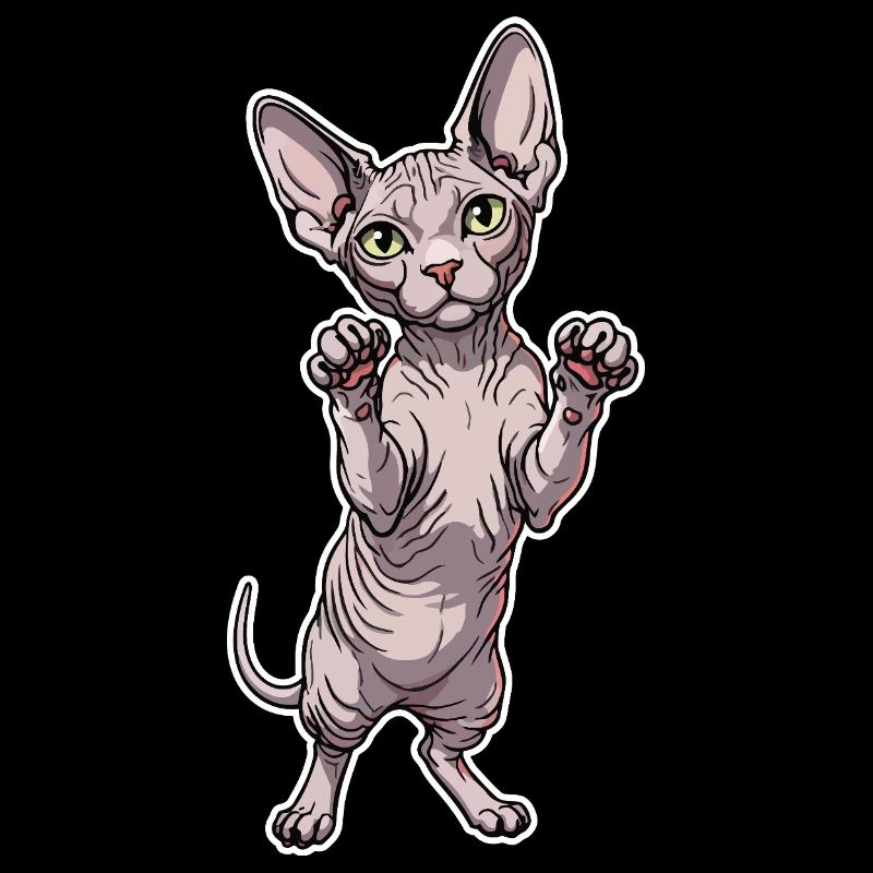 Cute Sphynx Cat Standing Posture Portrait