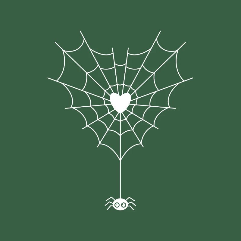 Spider in spider web