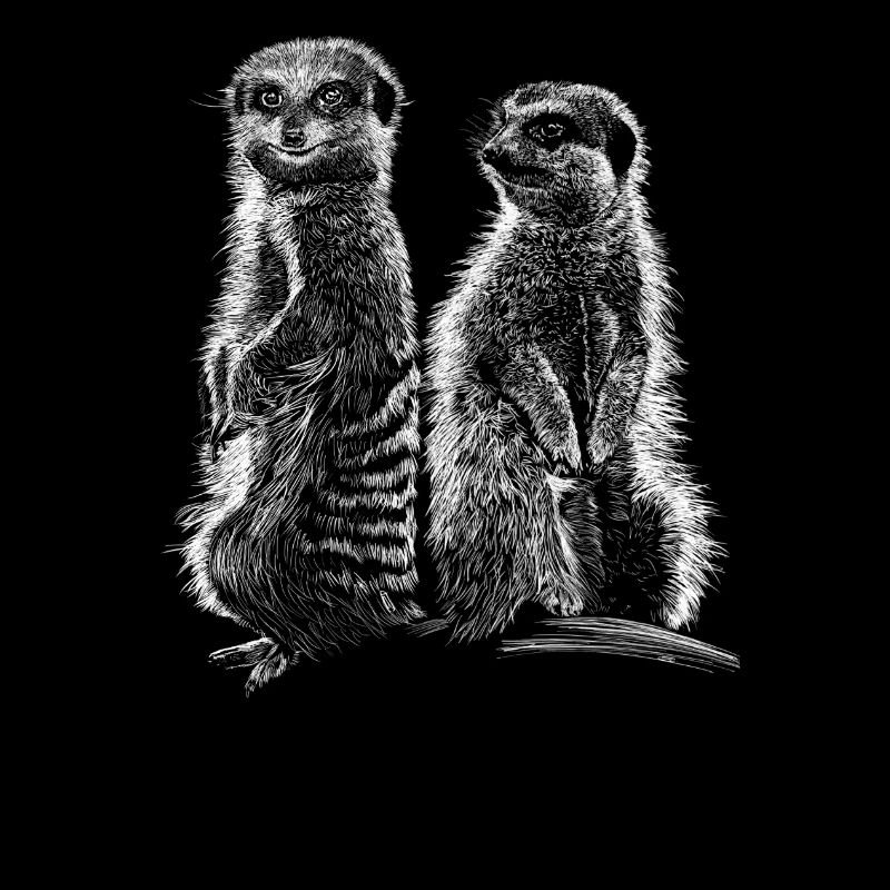 Erdmännchen