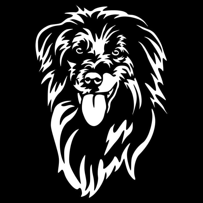 Berger des Pyrénées Kopf "Black Edition"