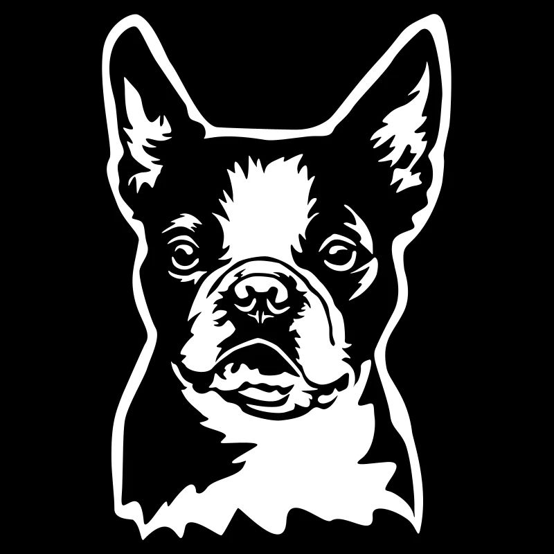 Boston Terrier Kopf "Black Edition"